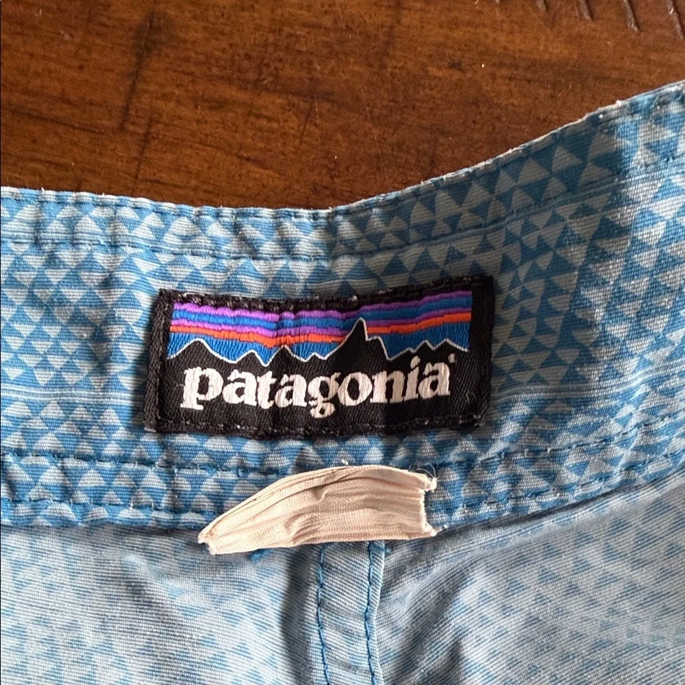 Patagonia Blue Patterned Shorts